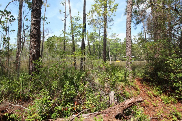Santa Rosa Beach, Florida 32459, ,Land,For Sale,Turtle Creek,853912