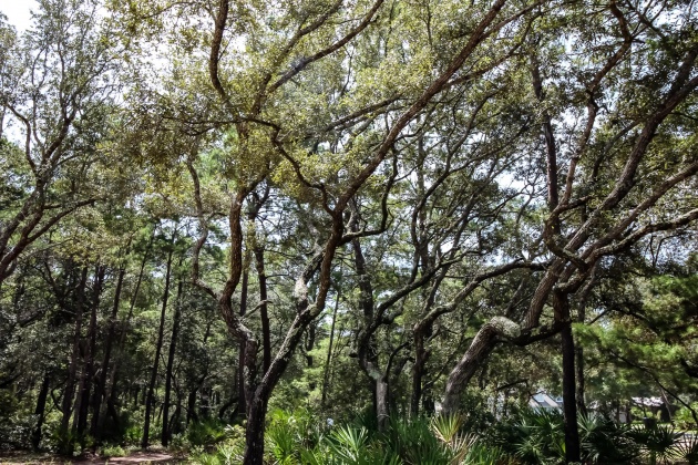 Santa Rosa Beach, Florida 32459, ,Land,For Sale,Turtle Creek,853912