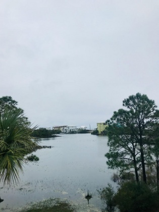 Santa Rosa Beach, Florida 32459, 3 Bedrooms Bedrooms, ,2 BathroomsBathrooms,Residential,For Sale,Woodward,865911