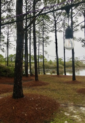 Santa Rosa Beach, Florida 32459, 3 Bedrooms Bedrooms, ,2 BathroomsBathrooms,Residential,For Sale,Woodward,865911