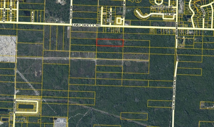 Santa Rosa Beach, Florida 32459, ,Land,For Sale,10 Acres Off Chat Holly,865993