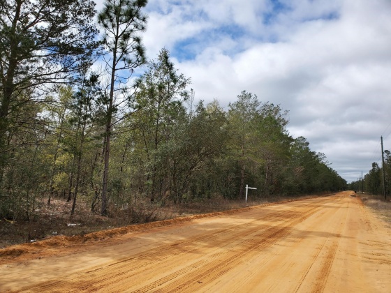 Defuniak Springs, Florida 32433, ,Land,For Sale,Passion Flower,866000