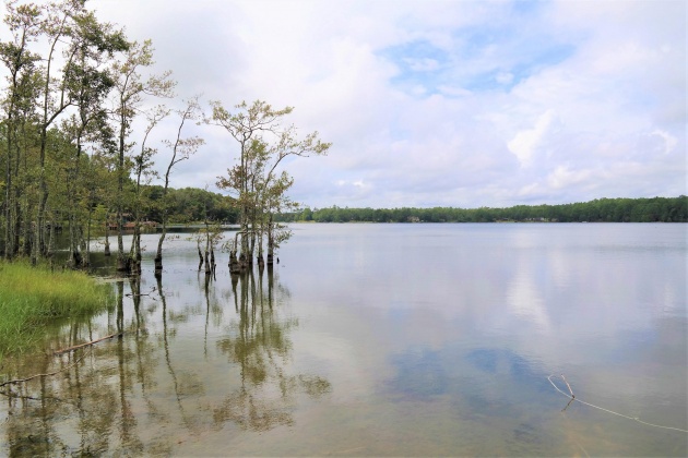 Defuniak Springs, Florida 32433, ,Land,For Sale,Spring Lake,853858