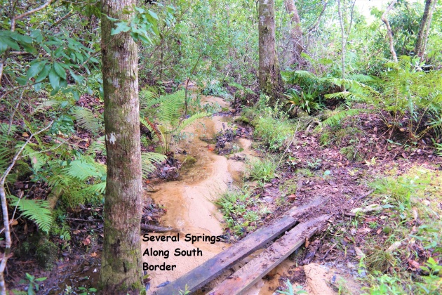 Defuniak Springs, Florida 32433, ,Land,For Sale,Spring Lake,853858