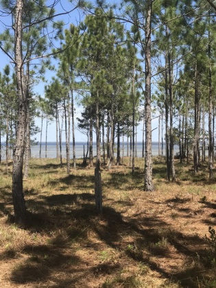 Santa Rosa Beach, Florida 32459, ,Land,For Sale,Kali,866057