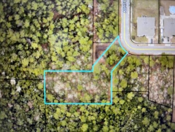 Crestview, Florida 32536, ,Land,For Sale,Ashton,866061