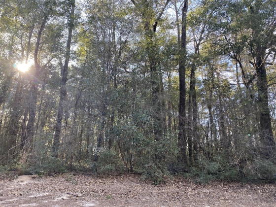 Laurel Hill, Florida 32567, ,Land,For Sale,Hawks Run,866095