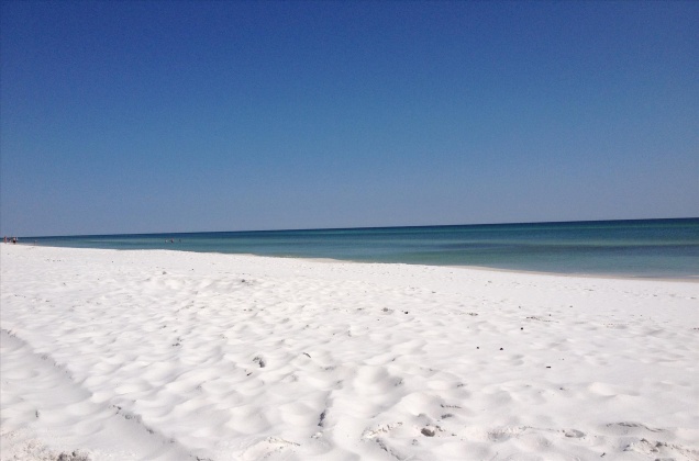 Santa Rosa Beach, Florida 32459, 6 Bedrooms Bedrooms, ,6 BathroomsBathrooms,Residential,For Sale,Co Highway 30-A,838757