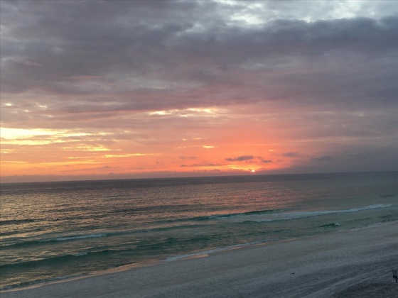 Santa Rosa Beach, Florida 32459, 6 Bedrooms Bedrooms, ,6 BathroomsBathrooms,Residential,For Sale,Co Highway 30-A,835427