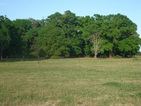 Holt, Florida 32564, ,Land,For Sale,Gilmore,866099