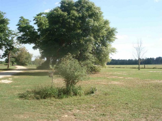 Holt, Florida 32564, ,Land,For Sale,Gilmore,866099