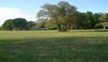 Holt, Florida 32564, ,Land,For Sale,Gilmore,866099