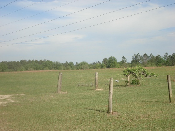 Holt, Florida 32564, ,Land,For Sale,Gilmore,866099