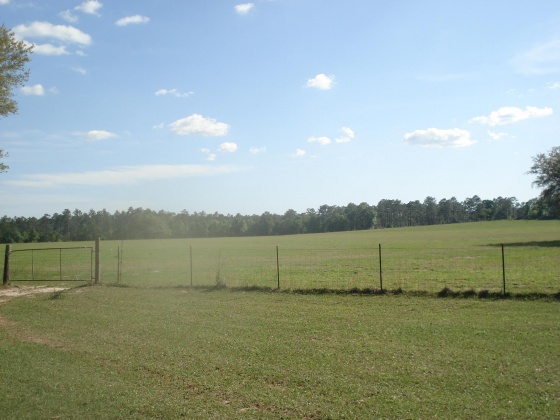 Holt, Florida 32564, ,Land,For Sale,Gilmore,866099