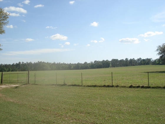 Holt, Florida 32564, ,Land,For Sale,Gilmore,866099