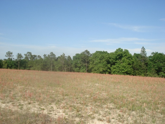 Holt, Florida 32564, ,Land,For Sale,Gilmore,866099