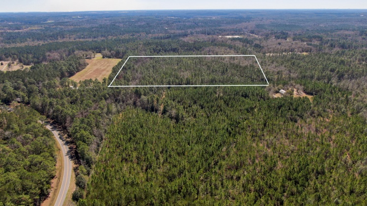 Defuniak Springs, Florida 32435, ,Land,For Sale,Co Hwy 280,866232