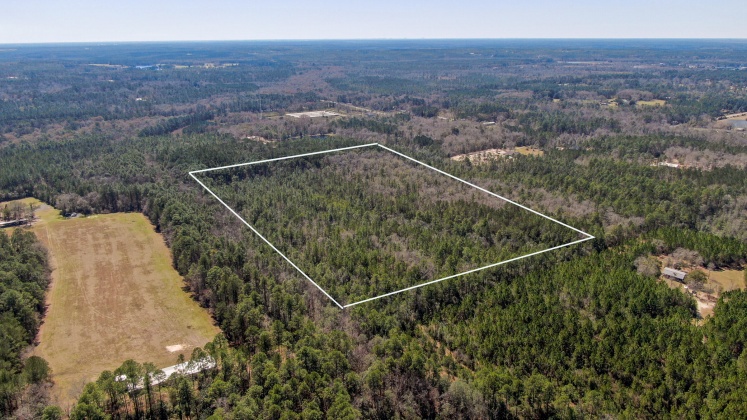 Defuniak Springs, Florida 32435, ,Land,For Sale,Co Hwy 280,866232