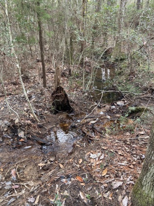 Defuniak Springs, Florida 32435, ,Land,For Sale,Co Hwy 280,866232