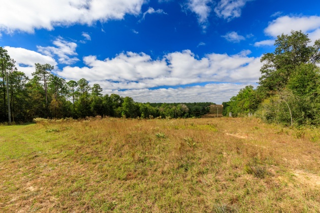 Crestview, Florida 32539, ,Land,For Sale,O'Brian,858979