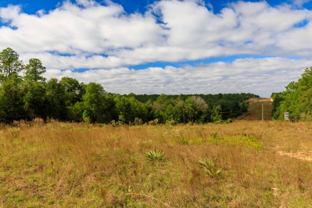 Crestview, Florida 32539, ,Land,For Sale,O'Brian,858979