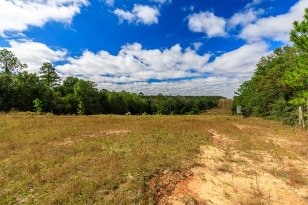 Crestview, Florida 32539, ,Land,For Sale,O'Brian,858979