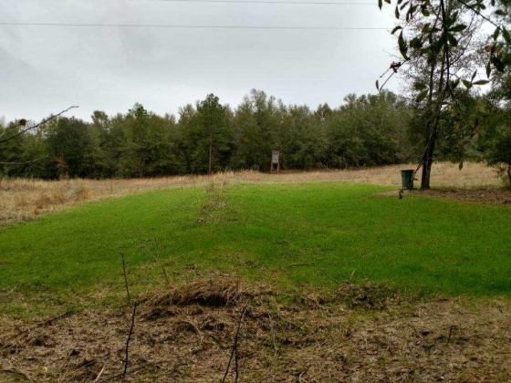 Crestview, Florida 32539, ,Land,For Sale,O'Brian,858979