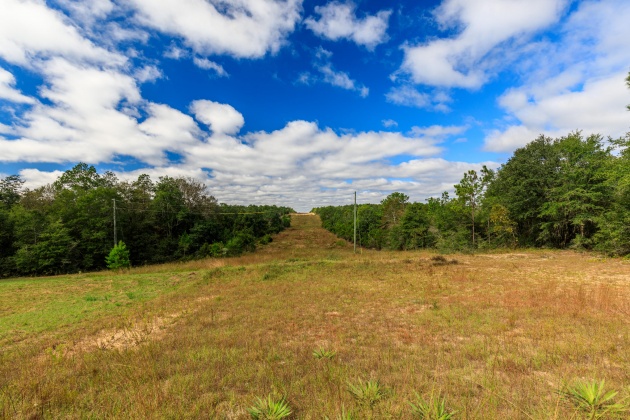 Crestview, Florida 32539, ,Land,For Sale,O'Brian,858979