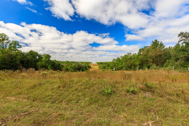 Crestview, Florida 32539, ,Land,For Sale,O'Brian,858979