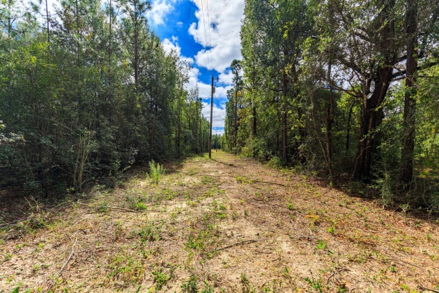 Crestview, Florida 32539, ,Land,For Sale,O'Brian,858979