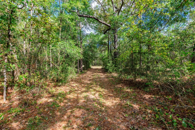 Crestview, Florida 32539, ,Land,For Sale,O'Brian,858979