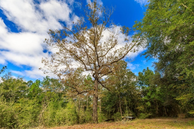 Crestview, Florida 32539, ,Land,For Sale,O'Brian,858979