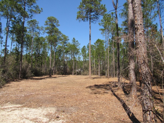 Freeport, Florida 32439, ,Land,For Sale,Fisherman's Run,866332