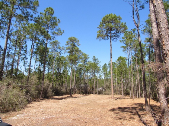 Freeport, Florida 32439, ,Land,For Sale,Fisherman's Run,866332
