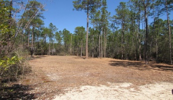 Freeport, Florida 32439, ,Land,For Sale,Fisherman's Run,866332