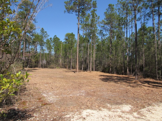 Freeport, Florida 32439, ,Land,For Sale,Fisherman's Run,866332
