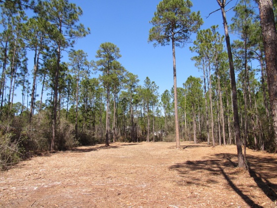 Freeport, Florida 32439, ,Land,For Sale,Fisherman's Run,866332