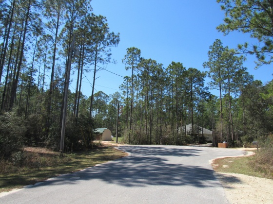 Freeport, Florida 32439, ,Land,For Sale,Fisherman's Run,866332