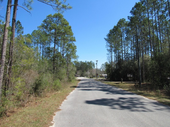 Freeport, Florida 32439, ,Land,For Sale,Fisherman's Run,866332