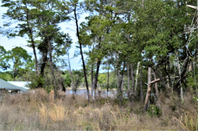 Panama City Beach, Florida 32413, 3 Bedrooms Bedrooms, ,3 BathroomsBathrooms,Residential,For Sale,Lakeview,866357