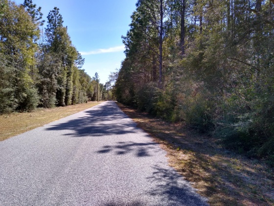 Crestview, Florida 32539, ,Land,For Sale,Sunburst,866416