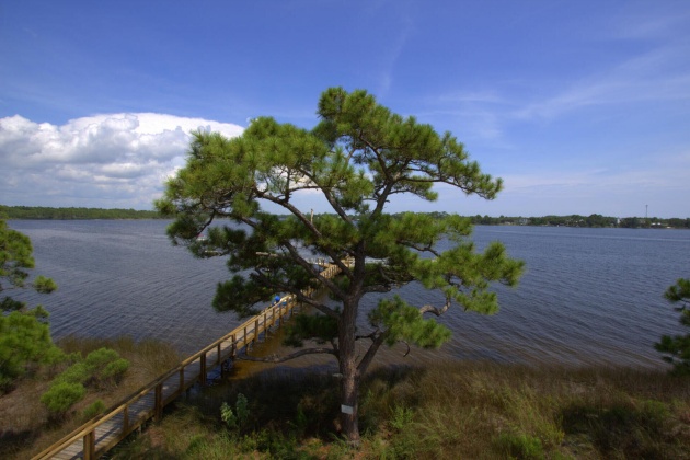 Panama City Beach, Florida 32413, 2 Bedrooms Bedrooms, ,2 BathroomsBathrooms,Residential,For Sale,Wild Heron,866401