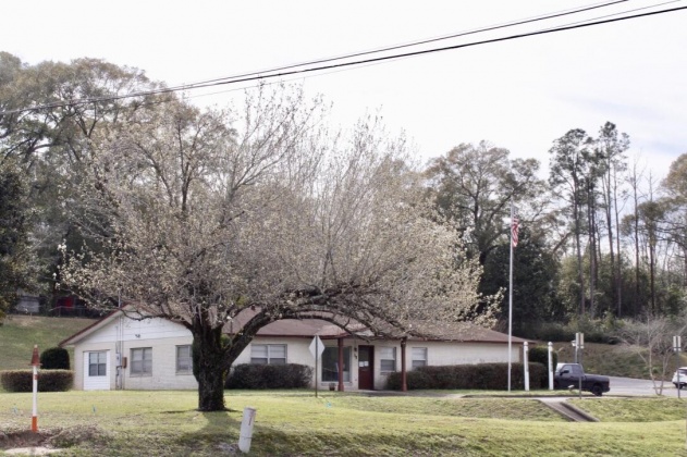 Defuniak Springs, Florida 32433, ,Commercial for Sale,For Sale,US-90,866455