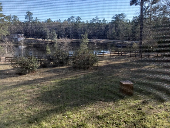 Defuniak Springs, Florida 32435, 3 Bedrooms Bedrooms, ,2 BathroomsBathrooms,Residential,For Sale,Pine Hill,866360