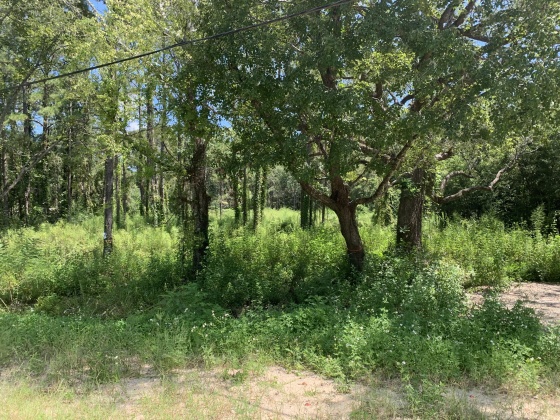 Freeport, Florida 32439, ,Land,For Sale,County Hwy 83A,855077