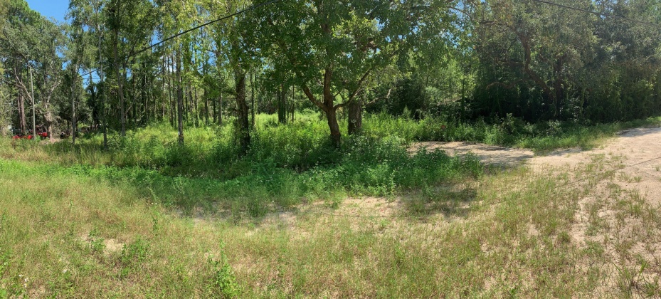 Freeport, Florida 32439, ,Land,For Sale,County Hwy 83A,855077