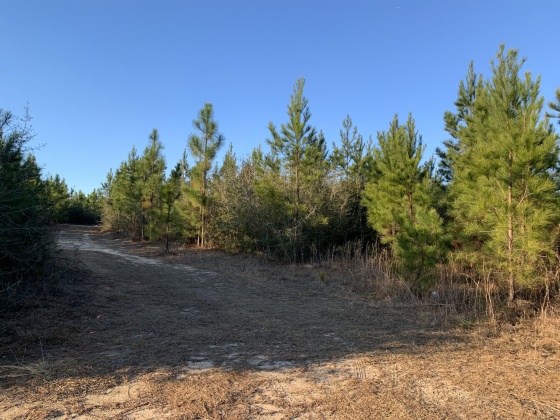 Milton, Florida 32570, ,Land,For Sale,Munson Hwy,866495