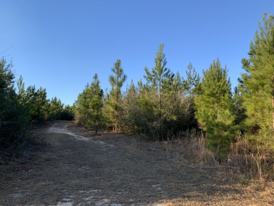 Milton, Florida 32570, ,Land,For Sale,Munson Hwy,866495