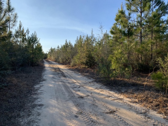 Milton, Florida 32570, ,Land,For Sale,Munson Hwy,866495