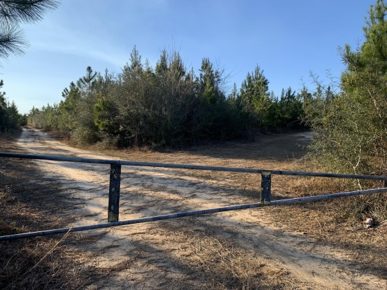 Milton, Florida 32570, ,Land,For Sale,Munson Hwy,866495